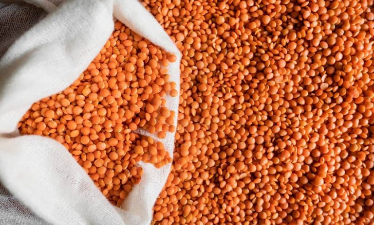 ORANGE 1