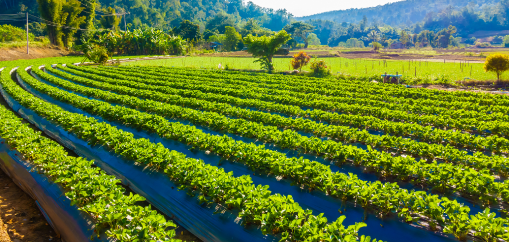 agriculture