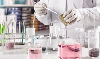 lab
